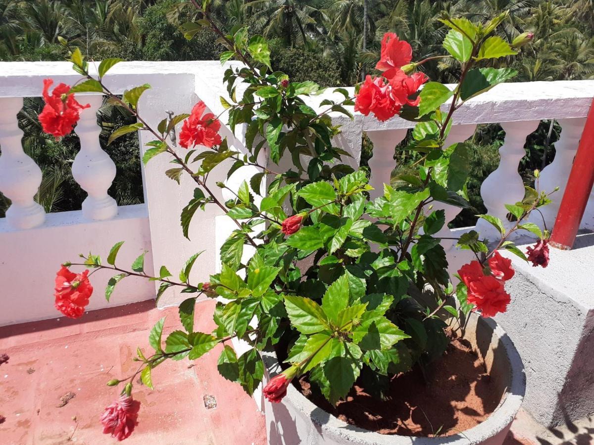 Holi-Wood Guesthouse Pondicherry Luaran gambar