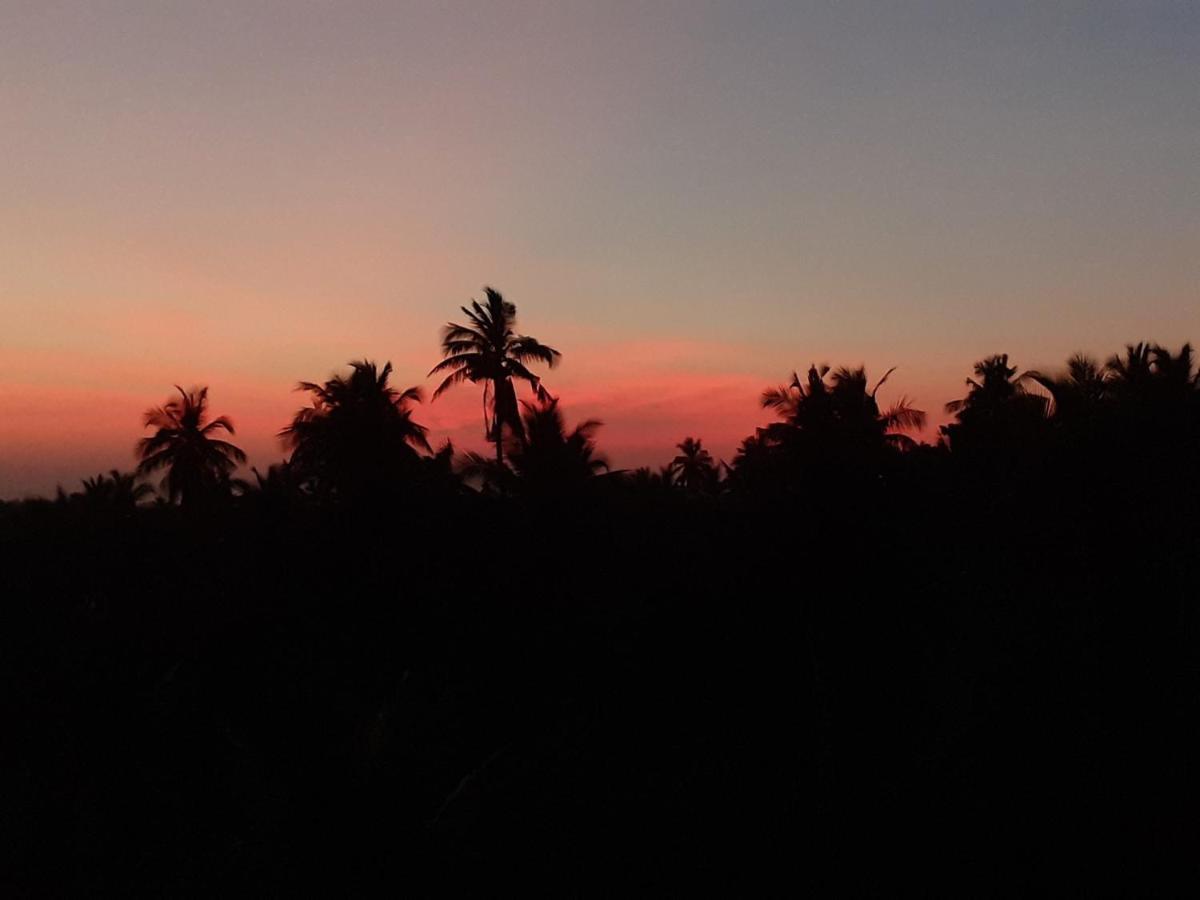Holi-Wood Guesthouse Pondicherry Luaran gambar