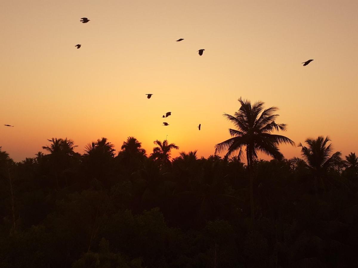 Holi-Wood Guesthouse Pondicherry Luaran gambar
